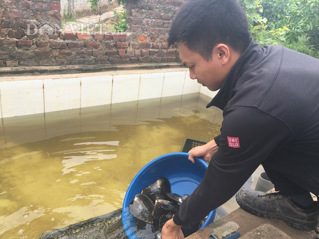 5 tỷ đồng dưới đáy ao của chàng trai Bắc Giang