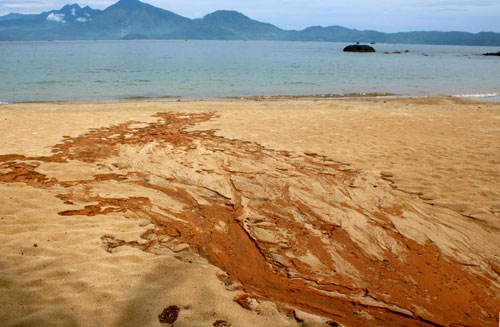 Đà Nẵng báo cáo Thủ tướng vụ bùn đỏ đổ xuống biển