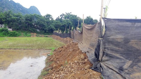 Cơn sốt ở Hòa Bình: Xẻ đất ruộng đào vàng