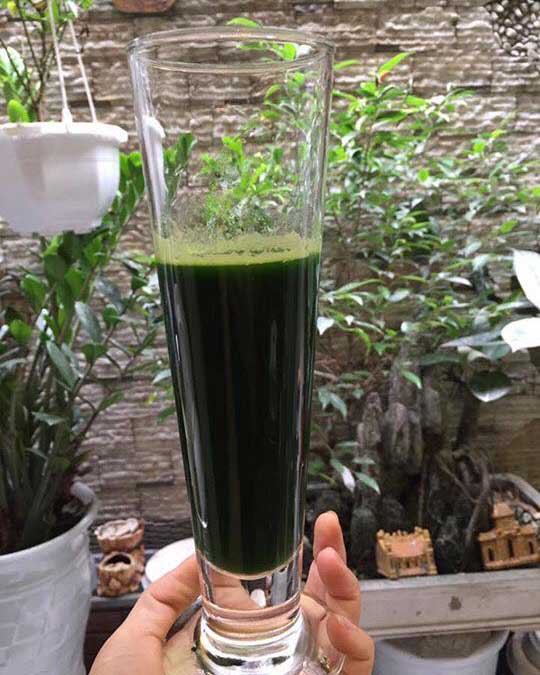 Lạ Hà thành: Trồng lúa xó nhà ép 'sữa' uống hàng ngày
