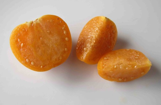 Quả dại tầm bóp giá 700.000 đồng/kg dân Việt xôn xao trồng thế nào?