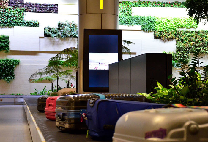 Ga hàng không làm thủ tục tự động ở Singapore