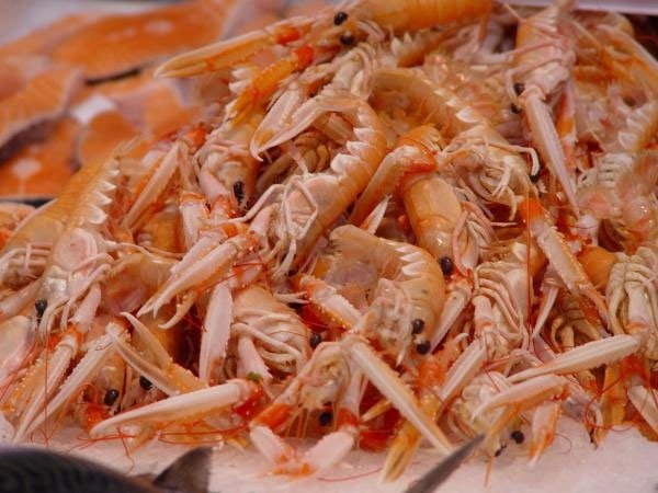 Vật liệu nhựa siêu bền, tự hủy được tạo ra từ vỏ tôm và tơ tằm