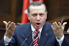 Erdogan đáp trả Đức về những cáo buộc can thiệp bầu cử.