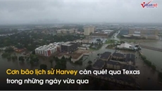 Muôn cảnh cứu người, cứu bò... giữa siêu bão Harvey