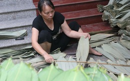 "Đút túi" hàng trăm triệu/tháng nhờ "nhặt lá tre" ở Hà Nội