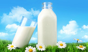 Hành trình tìm kiếm nguồn sữa thực vật mới của startup Mỹ