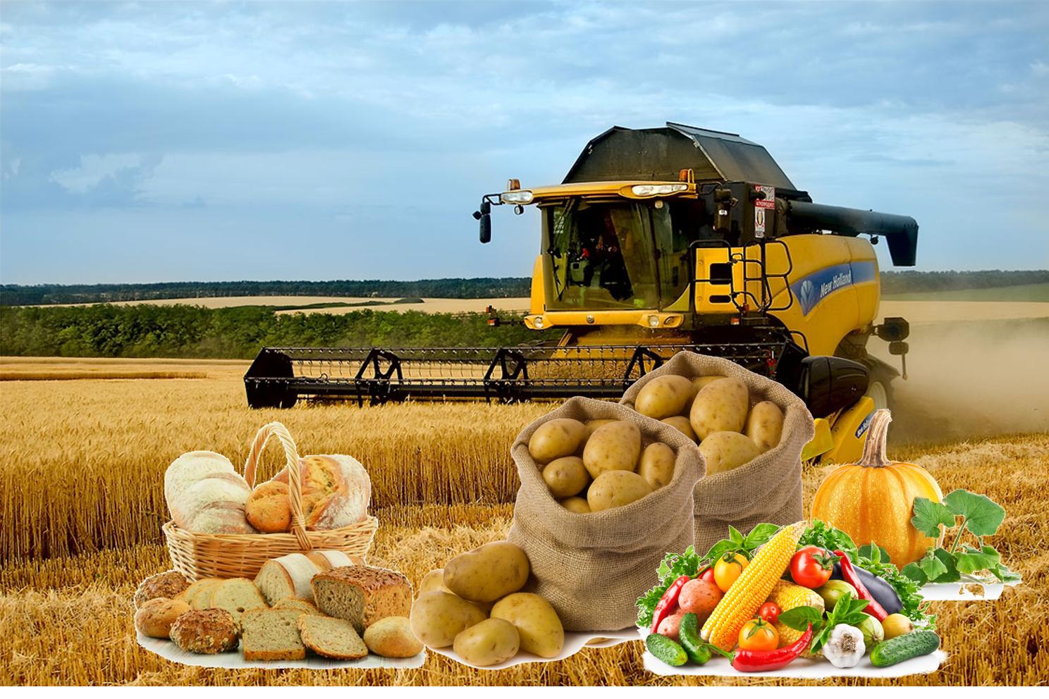Ukraine và Việt Nam tích cực hợp tác trong lĩnh vực nông nghiệp.