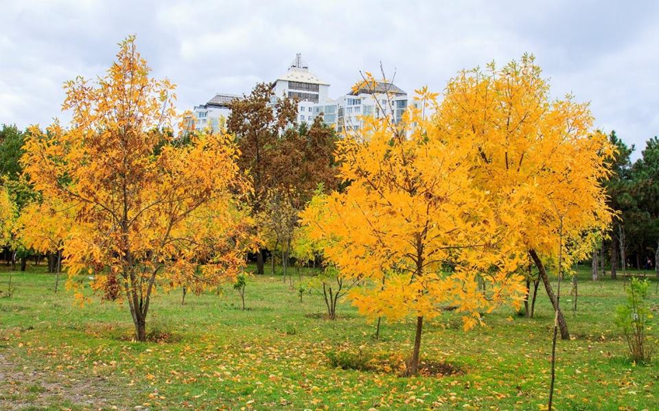 Odessa - mùa Thu trong công viên