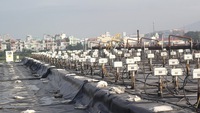 Nghị sỹ Mỹ tham quan việc xử lý dioxin sân bay Đà Nẵng