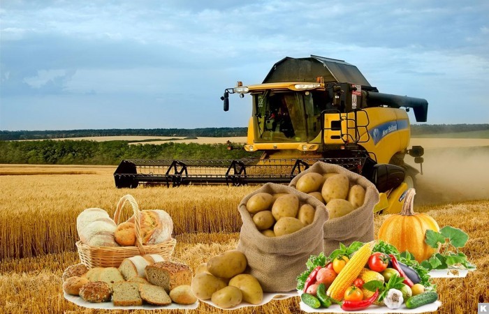 Nông nghiệp Ukraine bảo đảm 40% nguồn thu ngoại tệ cho đất nước