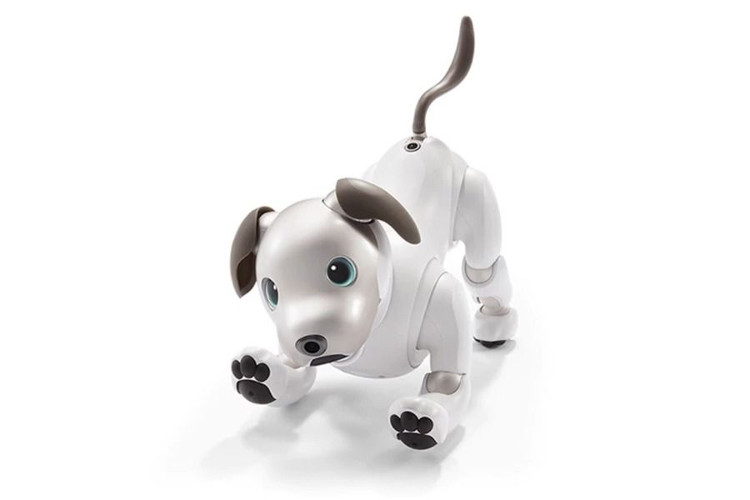 Robot cún con dành cho người yêu pet