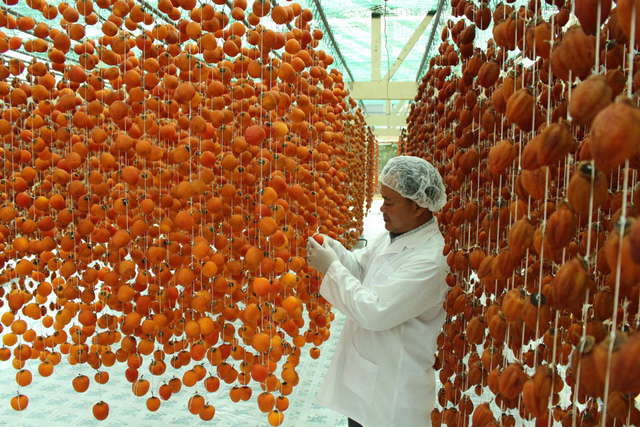 Cả làng “phất” lên nhờ làm hồng treo đặc sản