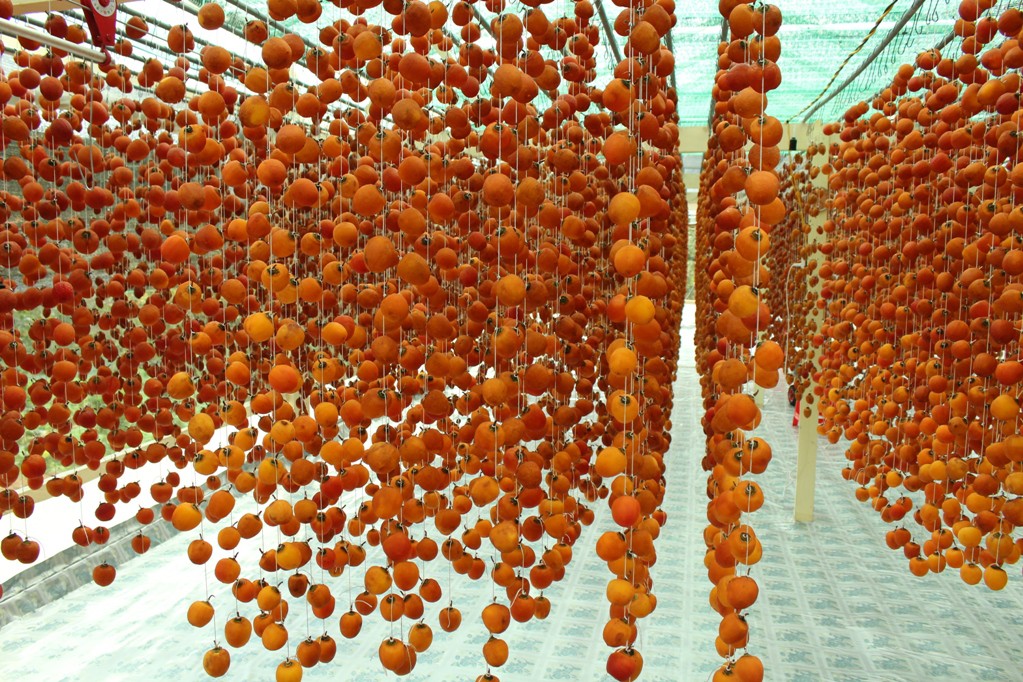 Cả làng “phất” lên nhờ làm hồng treo đặc sản