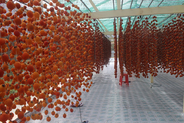 Cả làng “phất” lên nhờ làm hồng treo đặc sản