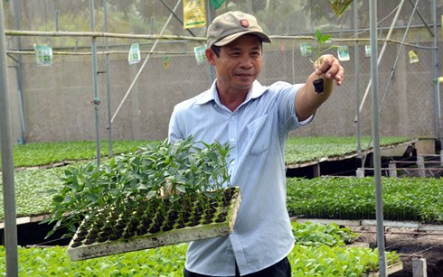 Thu tiền tỷ từ bán cây giống công nghệ cao