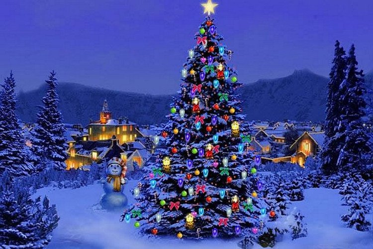 Vì sao có truyền thống trang trí và thắp sáng cây Noel?
