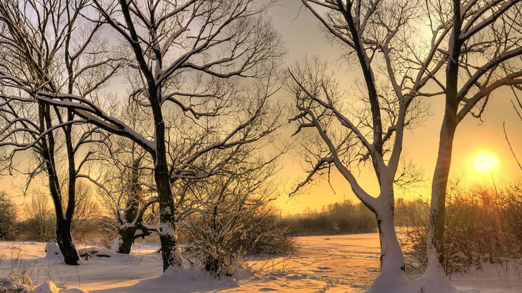 Dự báo thời tiết cho ngày 24 tháng 12: Ukraine sẽ ấm lên đáng kể