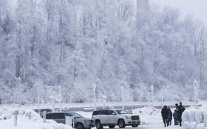 Bão tuyết ở Canada làm 36.000 người rơi vào cảnh mất điện