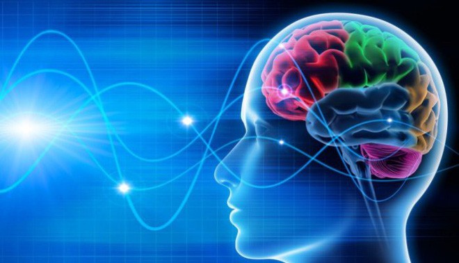 Vân não thay cho vân tay: sóng não có tiềm năng trở thành phương thức bảo mật mới cho thiết bị tương lai