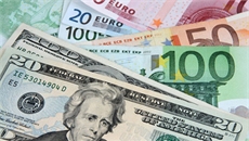 Tỷ giá ngoại tệ ngày 21/2: USD tăng vọt, euro giảm nhanh