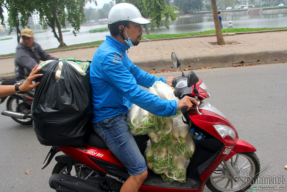 Giải cứu hàng tấn củ cải đổ đống cho nông dân Hà Nội