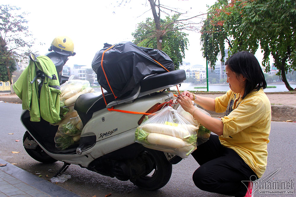 Giải cứu hàng tấn củ cải đổ đống cho nông dân Hà Nội