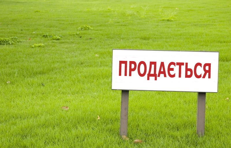 Ba Lan: người Ukraine mua một nửa đất nông nghiệp bán cho người nước ngoài