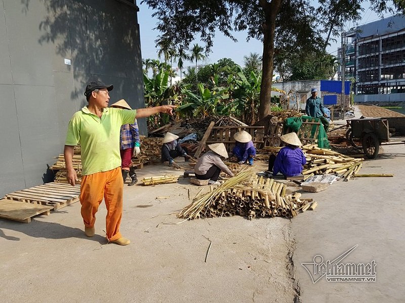 Rùng mình quy trình chế củi tre thành thuốc trị ung thư