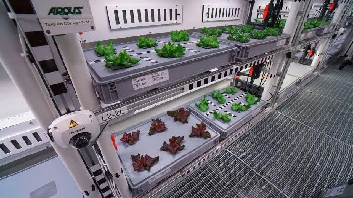 Đã có thể trồng rau tại Nam Cực mà không cần đất và ánh sáng mặt trời