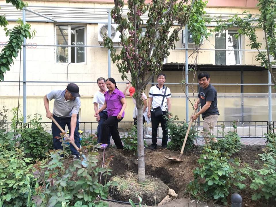 Trồng thêm 3 cây anh đào Nhật Bản tại Odessa
