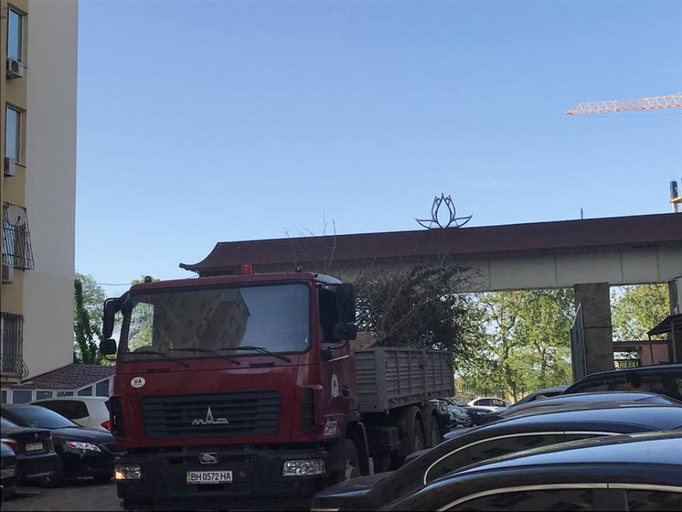 Trồng thêm 3 cây anh đào Nhật Bản tại Odessa