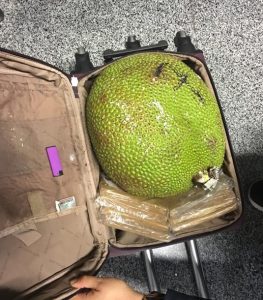 Một công dân Việt Nam bị bắt tại sân bay Borispol với lượng hoa quả xứ nhiệt đới trị giá 100 ngàn grip