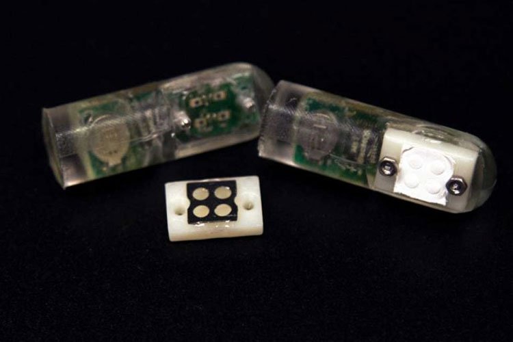 MIT phát triển "vi khuẩn trên chip" có khả năng phát hiện chảy máu dạ dày