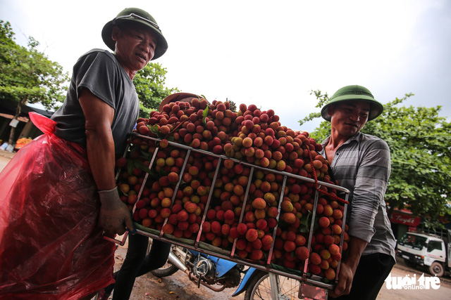 Bắc Giang lên tiếng vụ vải thiều giá 3.000/kg phải đổ sông