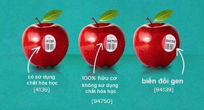 Lưu ý khi mua trái cây mã code bắt đầu bằng số 8