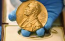 Na Uy đề cử ông Donald Trump cho giải Nobel Hòa bình