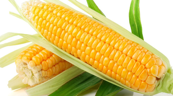 Thực phẩm biến đổi gen - Nên hay không nên ăn?