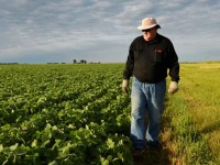 Mỹ hỗ trợ 12 tỷ USD cho nông dân bị thiệt hại do các đòn trả đũa thương mại