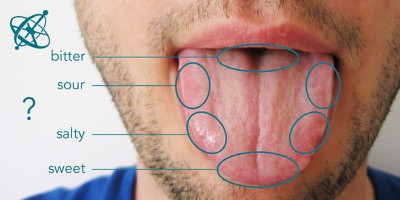 Cặp đũa điện tử, kích thích vị mặn trong lưỡi bằng... điện