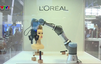 Con người học cách tồn tại trong kỷ nguyên robot