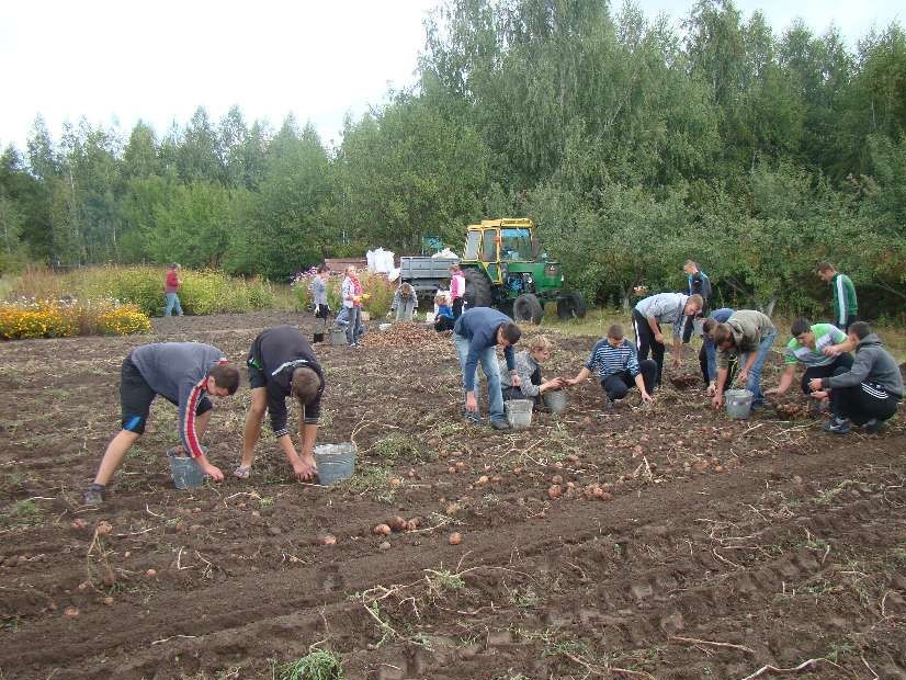 Kivorograg: Xảy ra vụ cướp mùa màng nông nghiệp, 27 người bị bắt