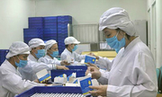 Việt Nam - Cuba nghiên cứu sản xuất vắc xin ho gà vô bào