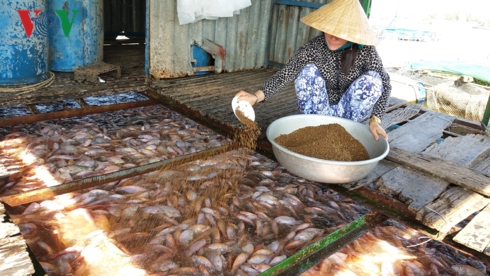 Các địa phương khẩn trương ứng phó bão số 9.