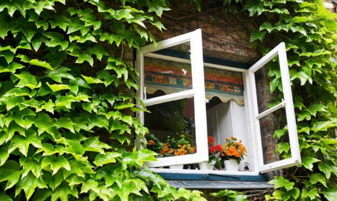 12 phong tục đón năm mới thú vị trên thế giới