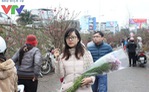 Hà Nội tổ chức 64 chợ hoa xuân dịp Tết Nguyên đán Kỷ Hợi