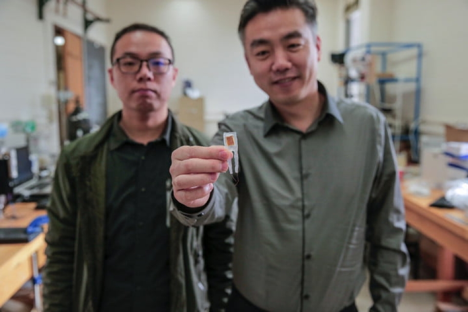 Phương pháp mới điều trị béo phì: “Ăn” thiết bị nano để giảm cân