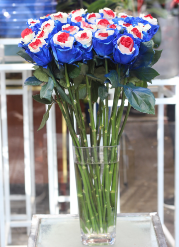 Hoa hồng 'tam sắc' đắt khách ngày Valentine