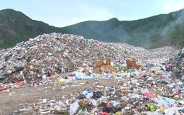 Chi hơn 35 tỉ đồng, chuyển 70.000 tấn rác từ Côn Đảo về đất liền xử lý