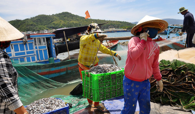 Nước mắm truyền thống đối mặt nguy cơ 'bức tử'